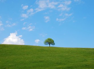 ciel-bleu-avec-arbre.jpg