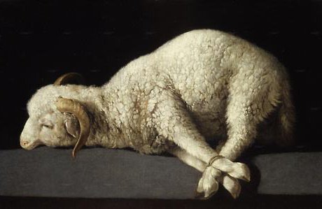 lamb-of-God.jpg