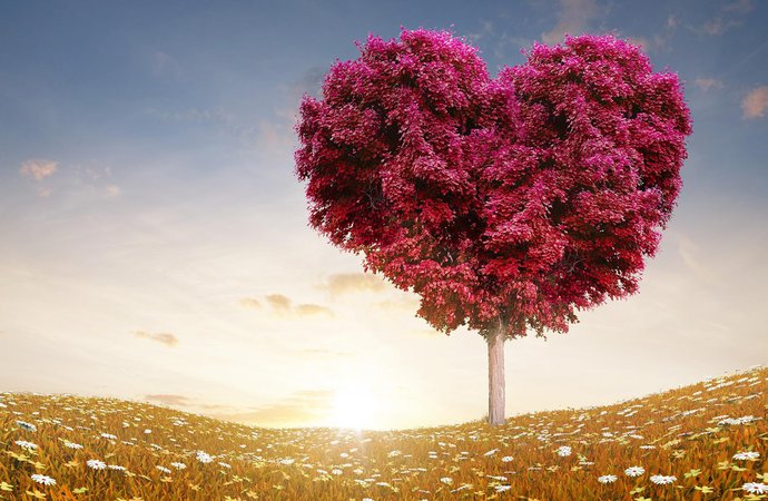 love-tree.jpg