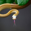 snake_tongue-1920x1200.jpg